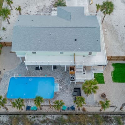 Sandy Dolphin